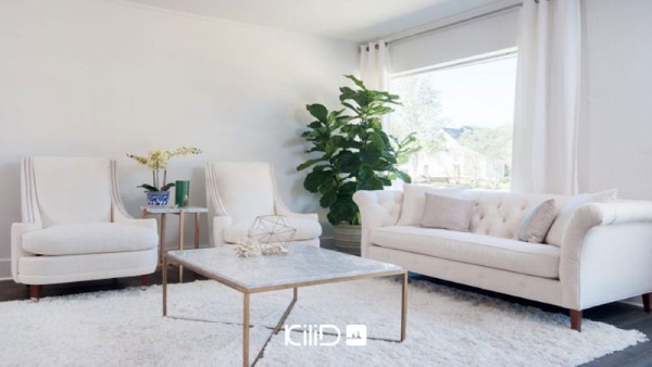 دکوراسیون سفید