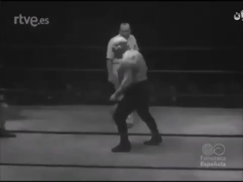 19af778a46b e4f262.webp