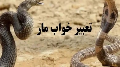 تعبیر خواب مار