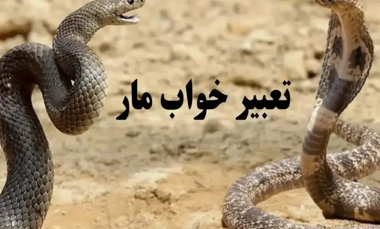 تعبیر خواب مار | نمادها و معانی پنهان در رویاها 1 تعبیر خواب مار