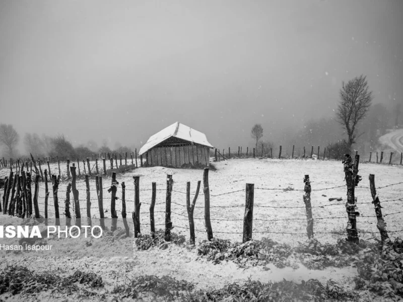 تصویر روز | عکس های حال خوبکن از هوای برفی شمال امسال عکس های حال خوبکن از هوای برفی شمال امسال