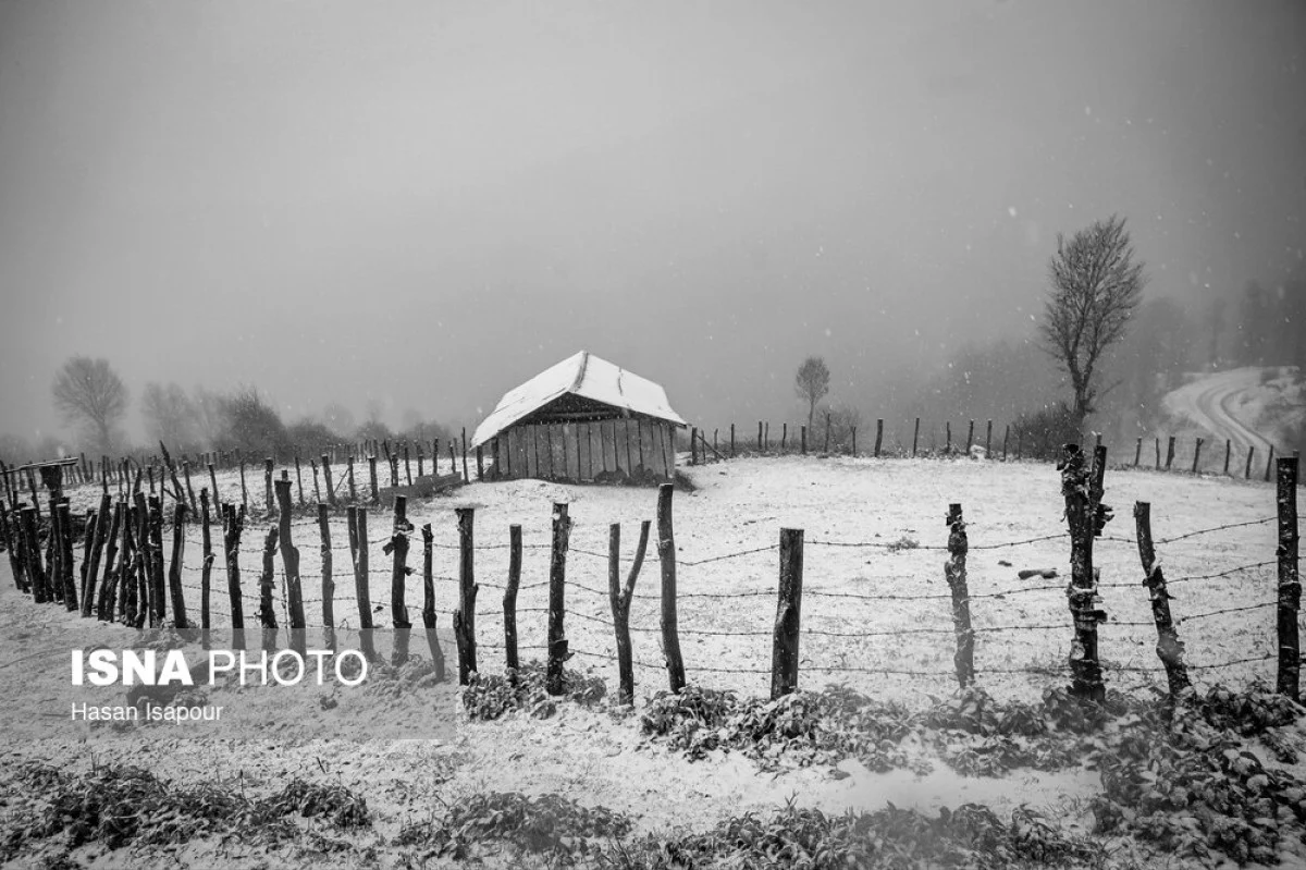 عکس های حال خوب‌کن از هوای برفی شمال امسال