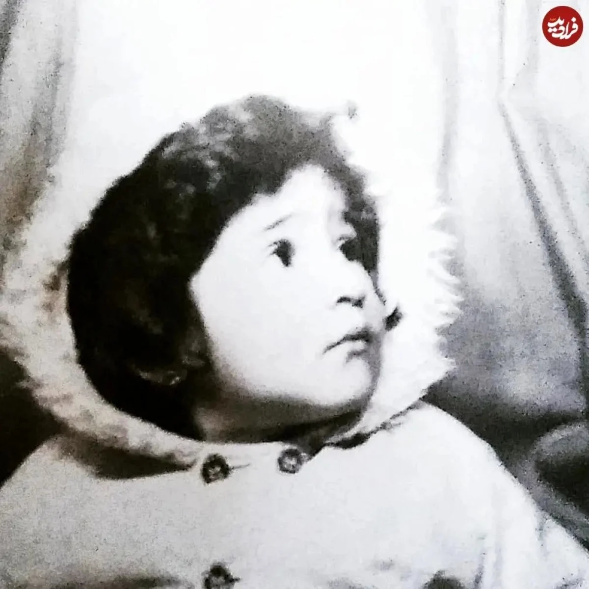 2025-12-05_15-22-24_640403-meylesokhan-ir sevil.shin_1620339104_2567912987759269957_1378564375_11zon