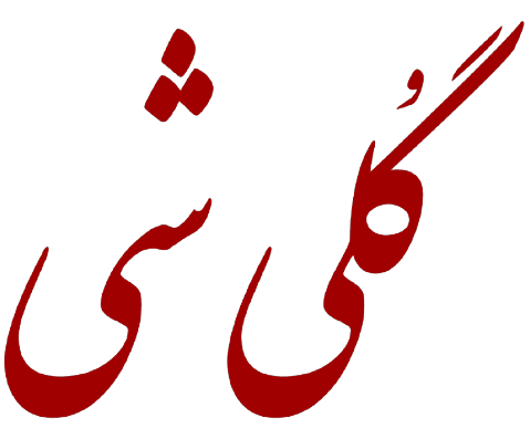 گلی شی