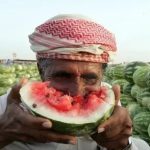 خلاقیت خنده دار هندوانه فروش قزوینی برای کشاندن مشتری به مغازه با گارانتی پس از فروش/مغز نیست که معدن طلاست😂