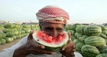 خلاقیت خنده دار هندوانه فروش قزوینی برای کشاندن مشتری به مغازه با گارانتی پس از فروش/مغز نیست که معدن طلاست😂 خلاقیت خنده دار هندوانه فروش قزوینی برای کشاندن مشتری به مغازه با گارانتی پس از فروش/مغز نیست که معدن طلاست😂