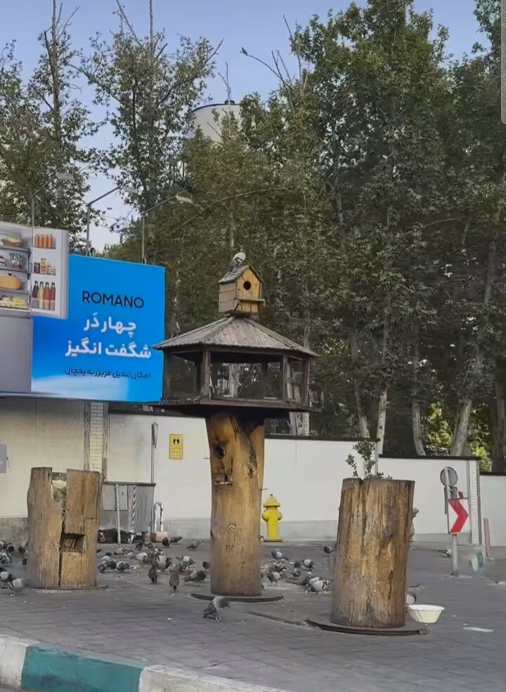 خلاقیت منحصربهفرد یک شاطر در پخت نان لواش که حسابی سوژه شد 509741 c18780b281a52a1267e4a2e0c0286f51 1