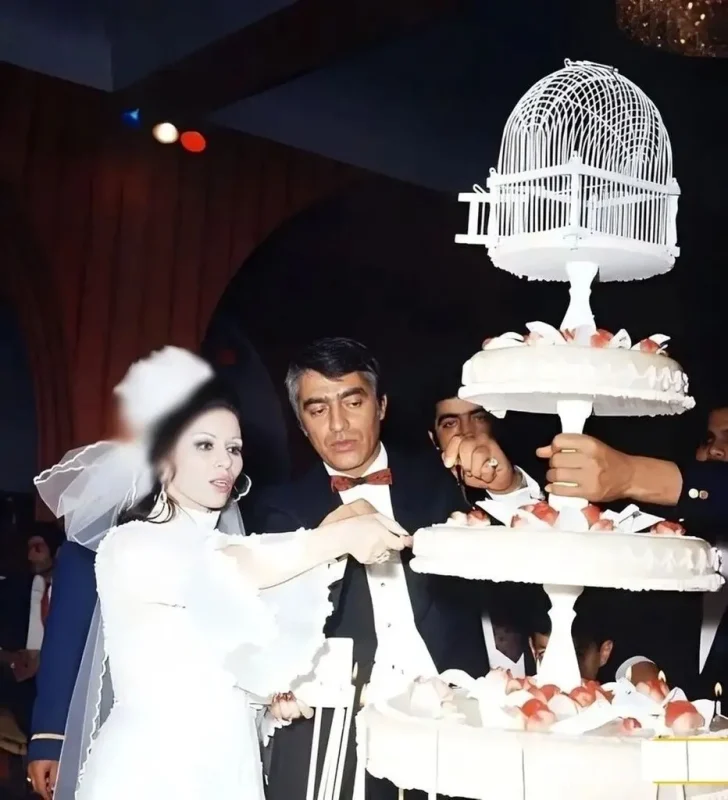 2463452464575678 11zon 1