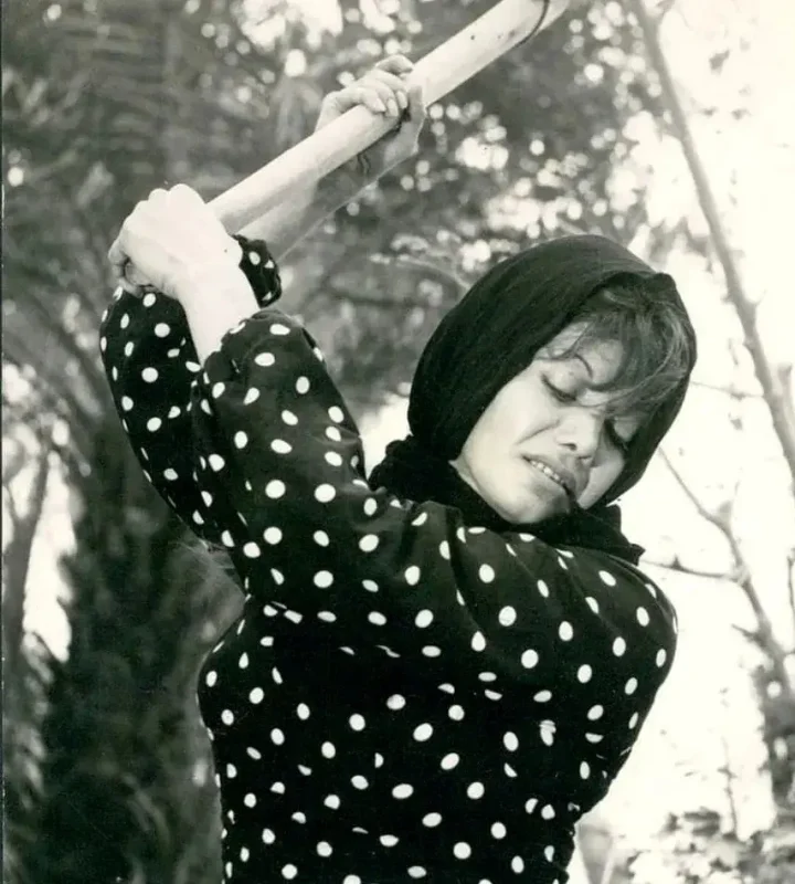 5d4c15455b294454b81e4795ebb1209e 1