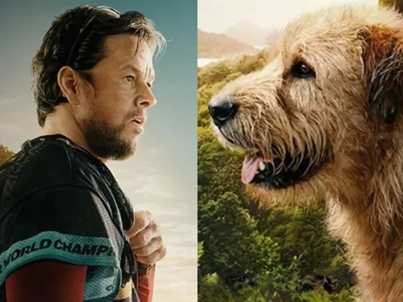 آرتور پادشاه Arthur the King؛ فیلم دیدنی و جذاب