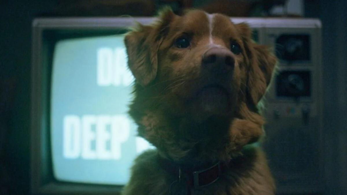 تریلر جدید فیلم Good Boy وحشت را از دید متفاوتی نشان میدهد