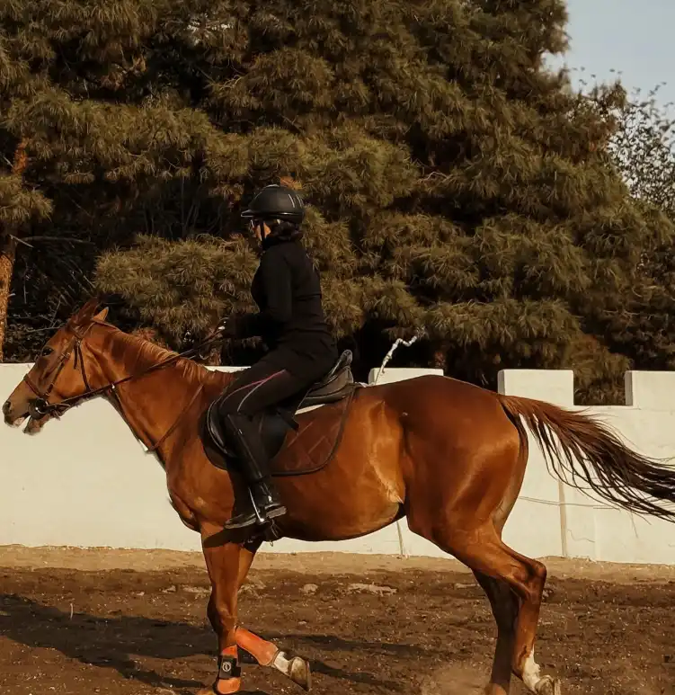 Screenshot 2025 08 10 104300 1