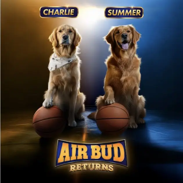خبر روز | سگهای فیلم Air Bud Returns از میان ۵۰۰۰ سگ انتخاب شدند air bud 245