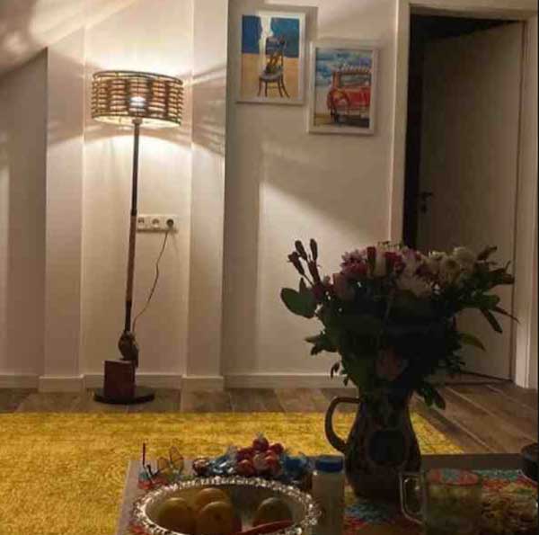 دکوراسیون خانه بازیگر ایرانی ساکن المان