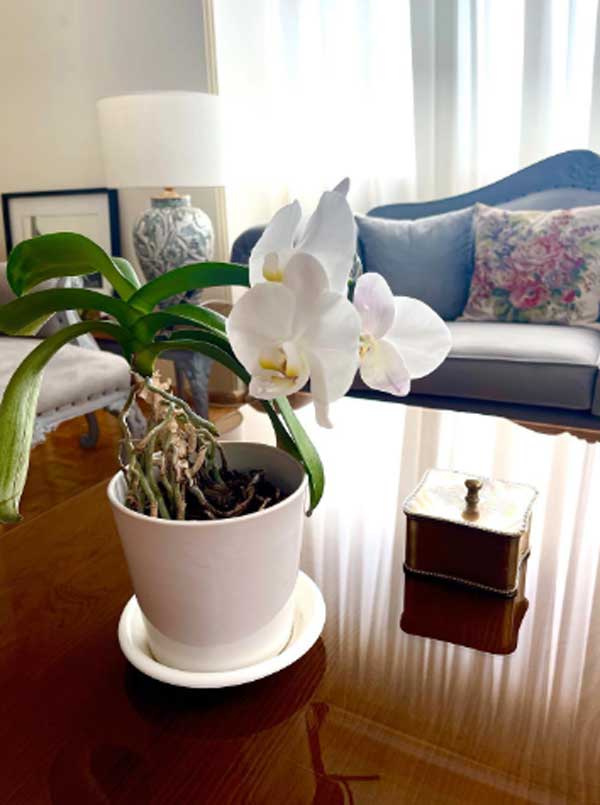 سبک دکوراسیون منحصربفرد خانه بازیگر نقش ستایش