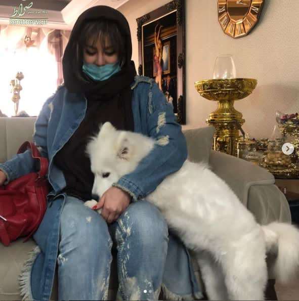 تصویر روز | شراره رخام با جدیدترین سبکها؛ از مجسمههای مدرن تا تابلوهای زیبا منزل شراره رخام