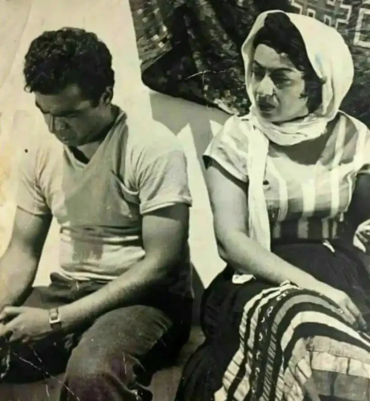 e boushehre 1474617103 1345508246181762029 3048498484 1