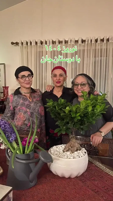 خبر روز | عکس دیدنی رویا نونهالی در کنار دوستان بازیگر f1e3aa8a 1