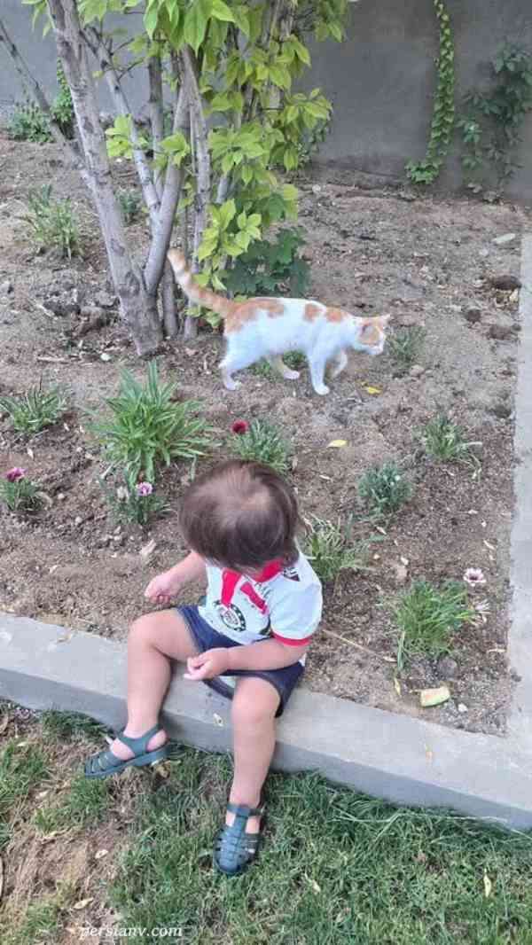 فرزند مینا مختاری و همسرش