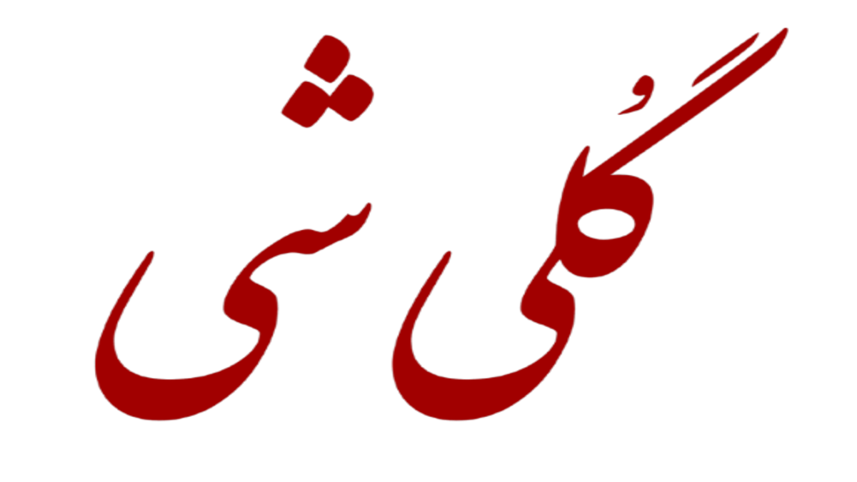 خبر روز | تغییر چهره جدید و شوکه کننده از نیوشا ضیغمی در کنسرت سهراب پاکزاد golishi 1200