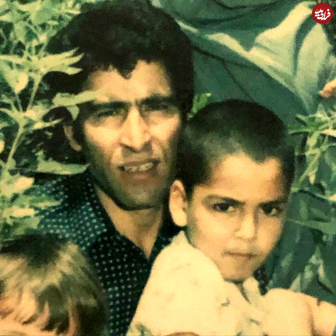 hamidreza_azarang_1628268464_2634429281692937166_484373375