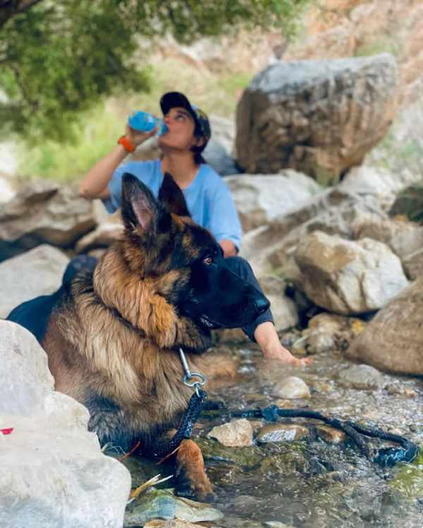 حیوان خانگی تینا آخوندتبار