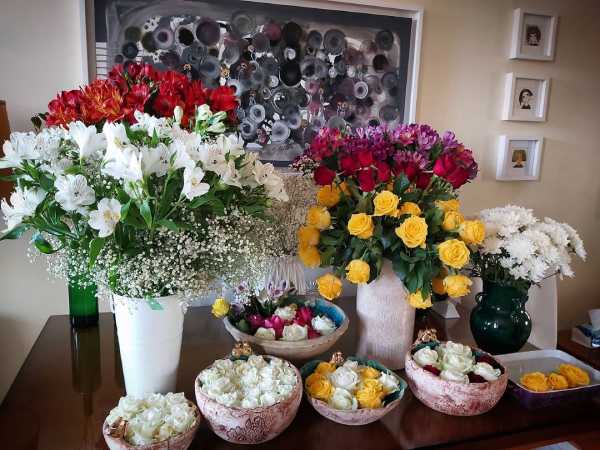 خانه معصومه کریمی