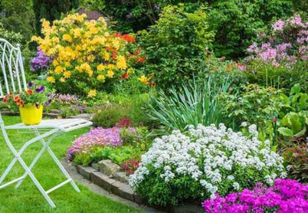 تصویر روز | باغچه سر سبز منزل سحر ولدبیگی و همسرش نیما فلاح مراقبت از گل ها