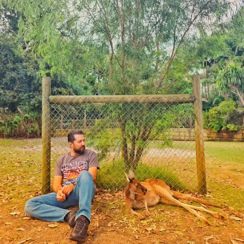 photo 2025 11 01 21 47 39 1