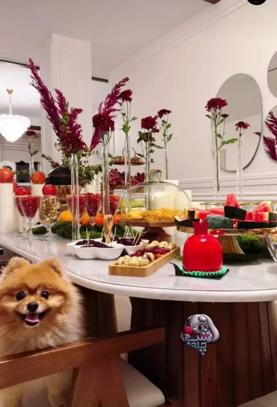 عکس؛ دیزاین سفره شب چله به سبک مریم معصومی شب یلدا ۱۴۰۴ photo 2025 12 22 13 17 25