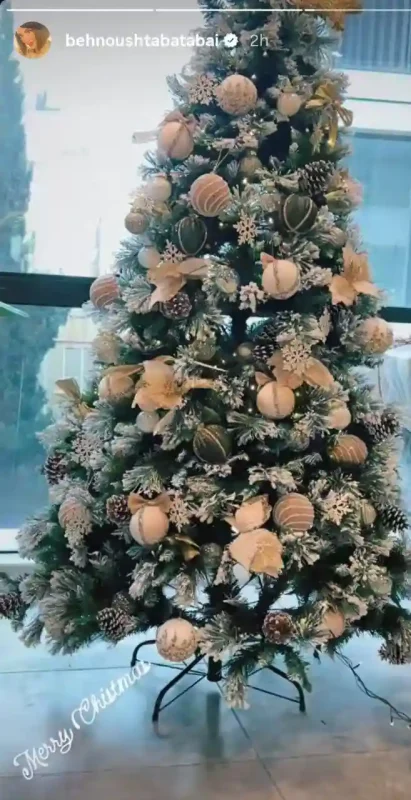 عکس زمستان ۱۴۰۴: جشن کریسمسی خانه بهنوش طباطبایی با دکوراسیون زیبا photo 2025 12 25 21 07 00 1