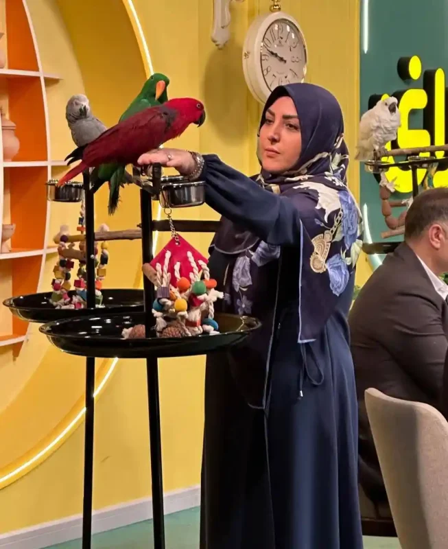 تصویر روز | افت و فشار خون "المیرا شریفی مقدم" در برنامه تلویزیونی المیرا 3