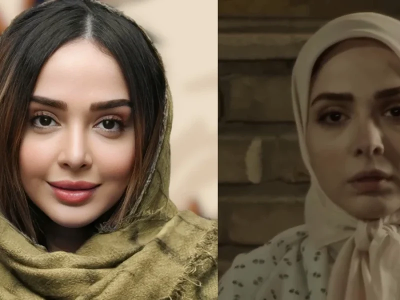 استوری جدید المیرا دهقانی در کنار فرزندش