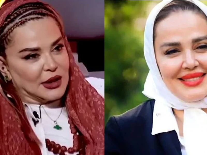 بهاره رهنما فعالیت‌ خود را در تلویزیونی و شبکه خانگی از سر گرفته
