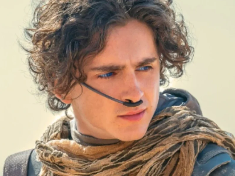 تیموتی شالامی: وقتی لقب «لسان الغیب» در دنیای واقعی کمی آزاردهنده می‌شود