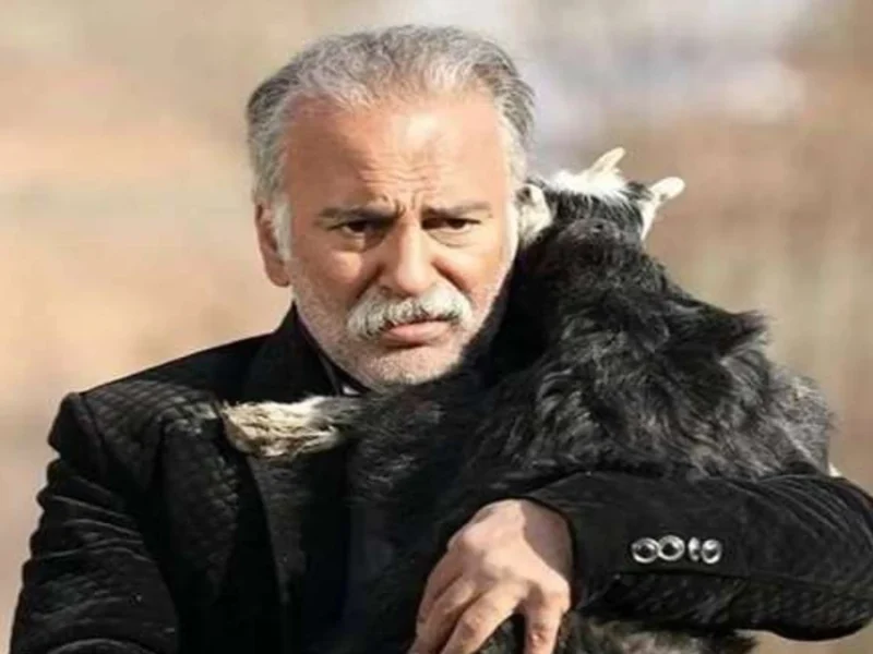 دکور آشپزخانه منزل حمیدرضا آذرنگ بازیگر نون خ
