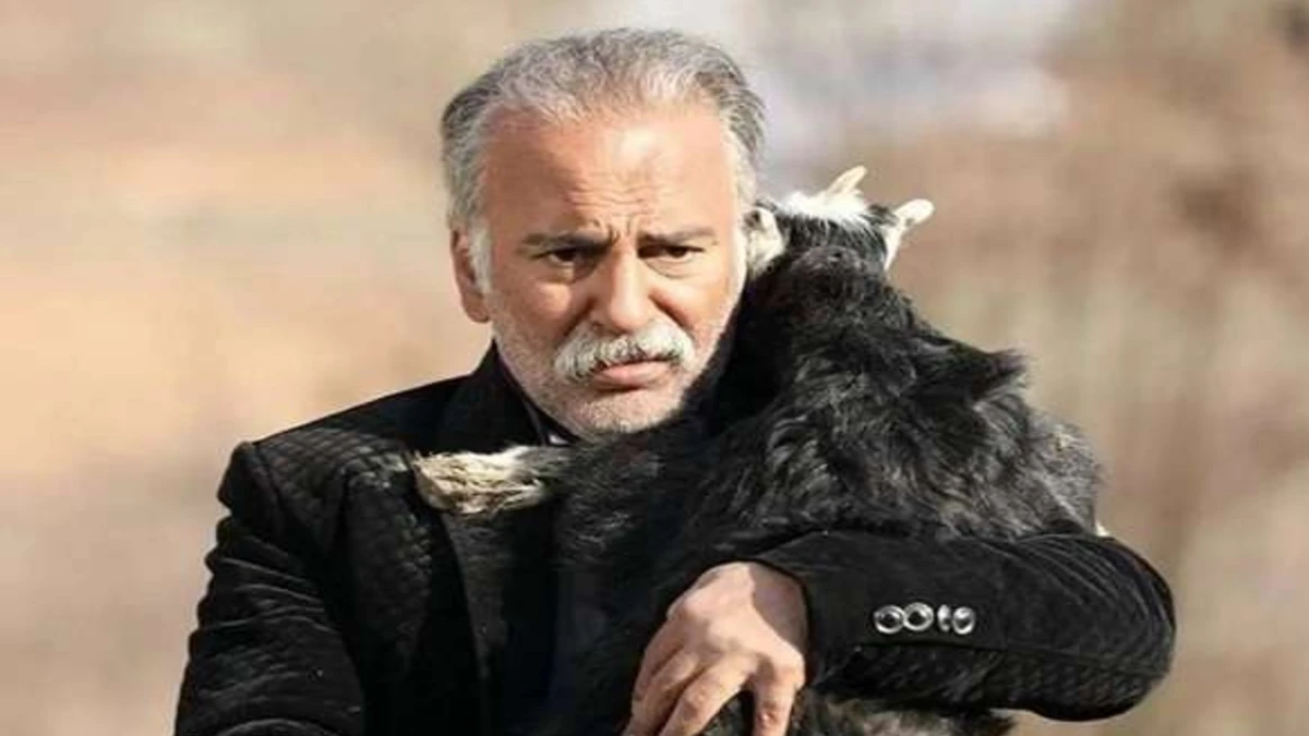 تصویر روز | دکور آشپزخانه منزل حمیدرضا آذرنگ بازیگر نون خ 1 دکور آشپزخانه منزل حمیدرضا آذرنگ بازیگر نون خ