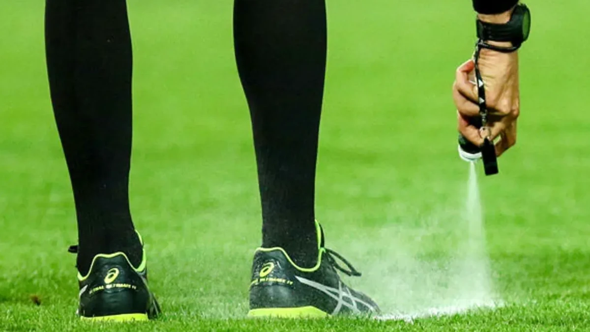 حمله وحشیانه به داوری که در استادیوم خواستگاری کرد!