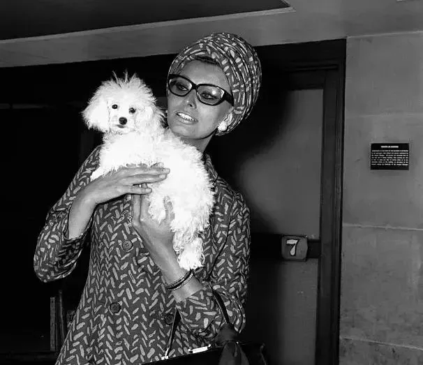 سفر در زمان| عکس «سوفیا لورن» با سگش در فرودگاه لندن، سال ۱۳۳۳ سوفیالورنباسگ