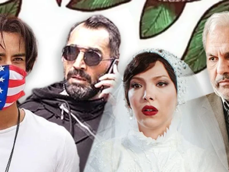 بررسی دقیق مخاطبان سینماها در شب یلدا از سال 1400 تا 1404 / بازار داغ کمدی‌ها در یلدای سینماها