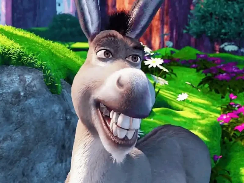 پس از اکران انیمیشن شرک ۵ تولید اسپین‌آف الاغ شرک آغاز می‌شود