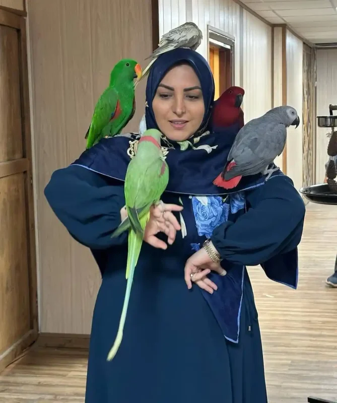 تصویر روز | افت و فشار خون "المیرا شریفی مقدم" در برنامه تلویزیونی شریفی