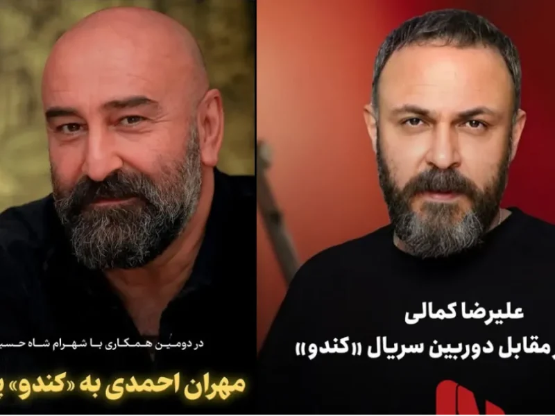 شهرام شاه‌حسینی سریال جدید برای شبکه نمایش خانگی می‌سازد