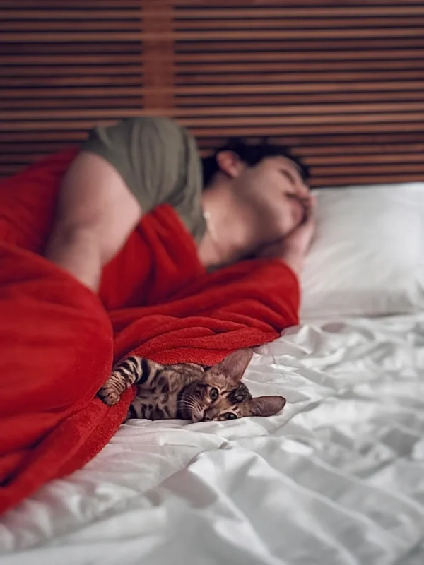 خبر روز| تولد ۲۹ سالگی علی شادمان؛ عکس با گربه خانگی علیشادمان 1