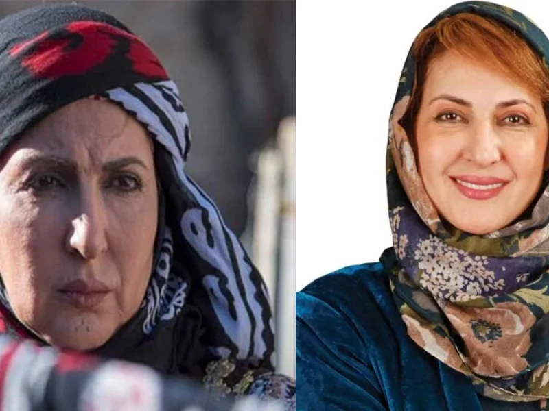 فاطمه گودرزی؛ بیوگرافی جذاب و دیدنی
