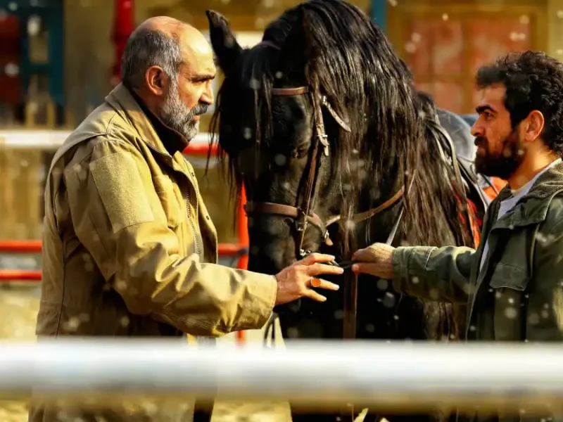 اضافه شدن سه فیلم جدید به سبد سینمای اجتماعی