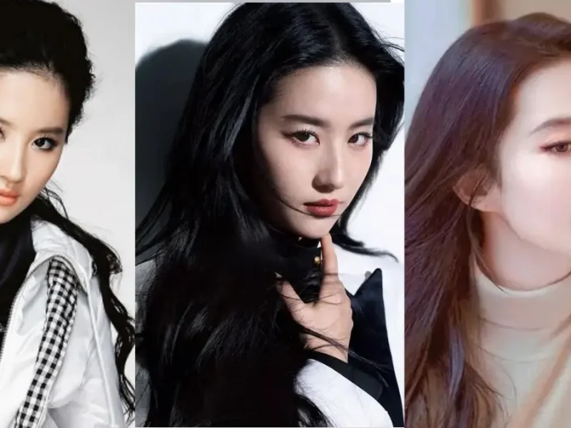 تصاویر شخصی، زندگی خصوصی لیو یی‌فی و بیوگرافی