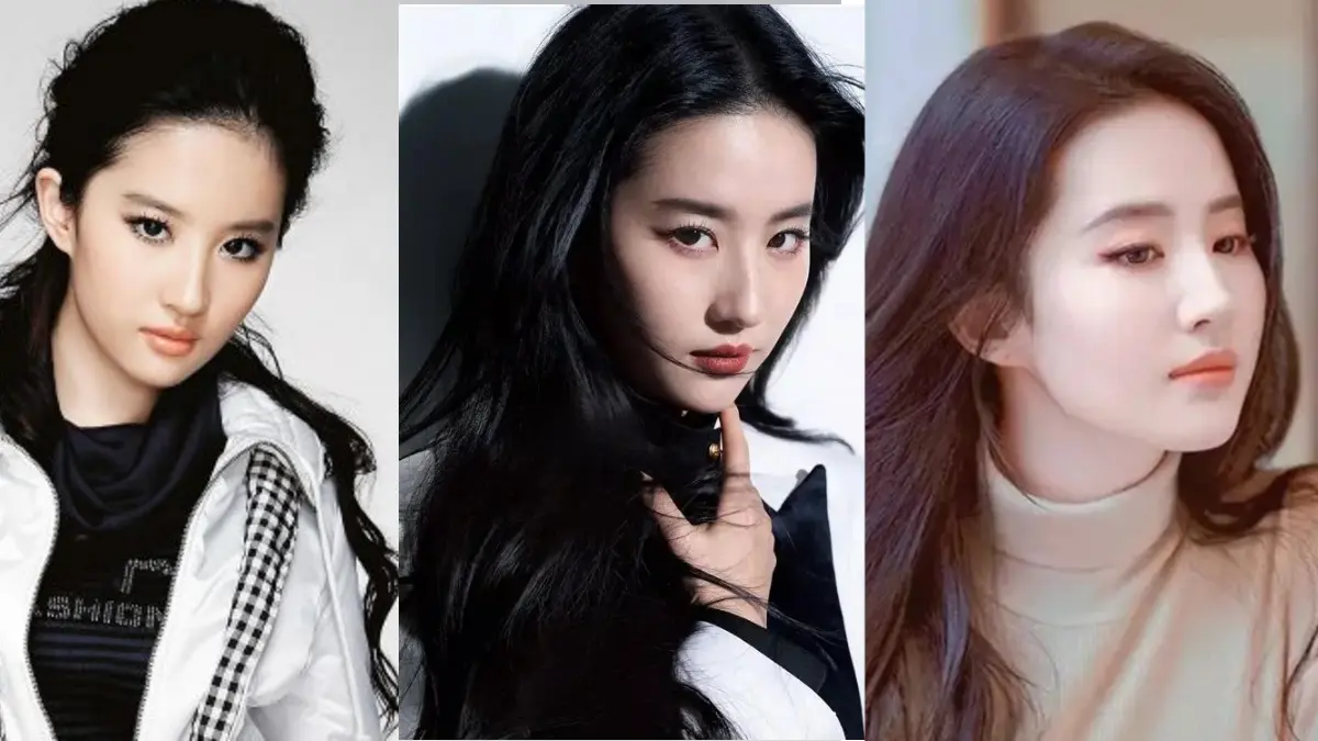 تصاویر شخصی، زندگی خصوصی لیو یی‌فی و بیوگرافی