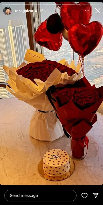 محمدرضاگلزار 3