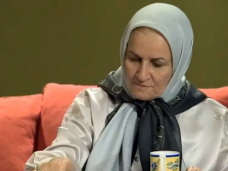 خانم فرامرزی سریال زیرآسمان شهر در سال‌های پایانی عمرش